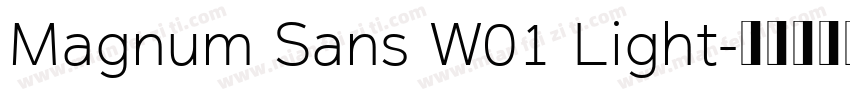 Magnum Sans W01 Light字体转换